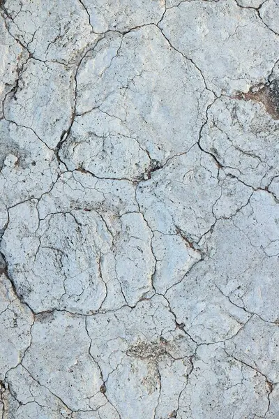 日光下干旱 破碎的盐渍沙漠的垂直图像 图库图片