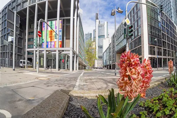 Frankfurt Siluetinin Gün Boyunca Planda Kırmızı Çiçekler Olan Resmi Telifsiz Stok Fotoğraflar