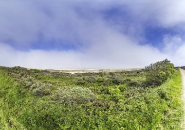 Panoramic picture of the dune landscape and beach near the Dutch vacation resort of Ouddorp during the day clipart