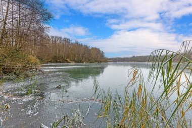 A stunning view of Oberwaldsee lake in winter, featuring a crystal clear ice surface reflecting the sunlight of the day clipart