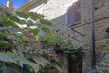 İki katlı bir ev, gür yaprakları ve bol renkli çalıları olan yemyeşil bir bahçenin yanında yer almaktadır.