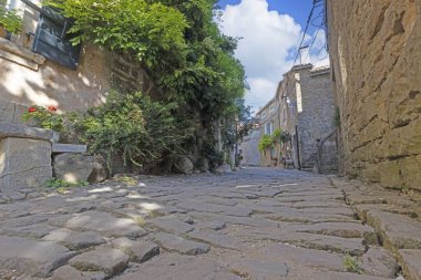 Bu görüntü eski bir Avrupa köyünü gösteriyor. Arazi boyunca uzanan tuğla yollarla döşenmiş bir sokak.