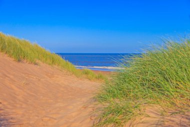 Yaz boyunca İskoçya 'da kum tepeleri olan ıssız bir sahil resmi.