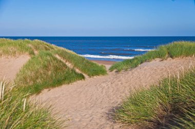 Yaz boyunca İskoçya 'da kum tepeleri olan ıssız bir sahil resmi.