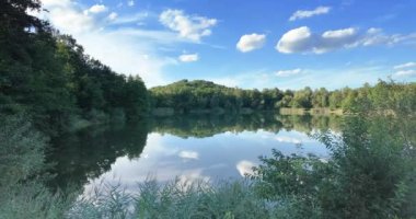 Yazın Namibya 'daki Etosha Ulusal Parkı' nda bir grup filin videosu