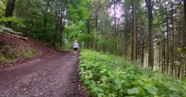 Yazın Namibya 'daki Etosha Ulusal Parkı' nda bir grup filin videosu