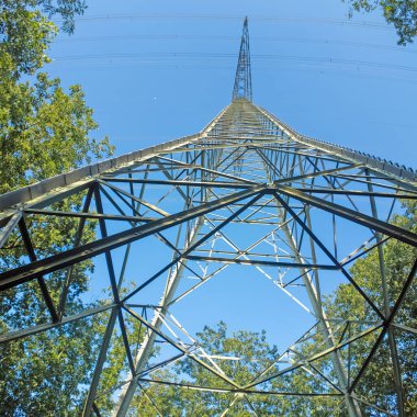 Gün boyunca yer seviyesinden alınan bir ormanda uzun bir elektrik direğinin görüntüsü