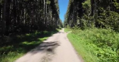 Yazın Namibya 'daki Etosha Ulusal Parkı' nda bir grup filin videosu