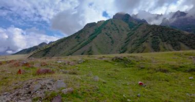Yazın Namibya 'daki Etosha Ulusal Parkı' nda bir grup filin videosu