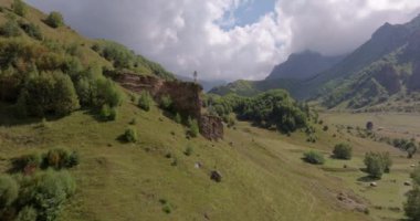 Yazın Namibya 'daki Etosha Ulusal Parkı' nda bir grup filin videosu