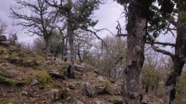 Doğa boyunca dolambaçlı yolları daraltıyor. Manzaralı çevresi ve engebeli arazisi gün boyunca dönüyor.