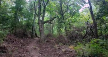 Doğa boyunca dolambaçlı yolları daraltıyor. Manzaralı çevresi ve engebeli arazisi gün boyunca dönüyor.