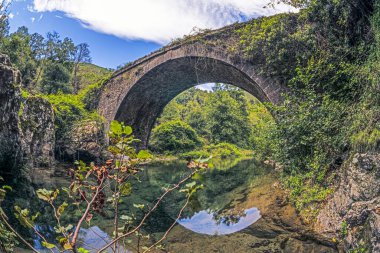 Korsika 'daki tarihi taş köprü Ponte di Infernu, gündüz vakti bereketli doğayla çevrili berrak sulara yansıyor.