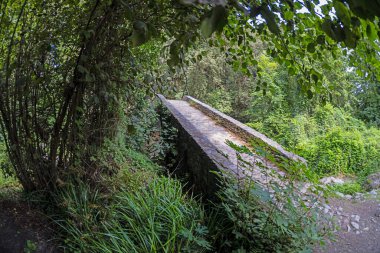 Korsika 'daki tarihi taş köprü Pont du Bucatoghju' nun çevresi yemyeşil ve doğal güzelliklerle çevrilidir.