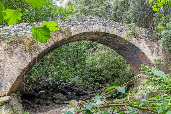 Korsika 'daki tarihi taş köprü Pont du Bucatoghju' nun çevresi yemyeşil ve doğal güzelliklerle çevrilidir.