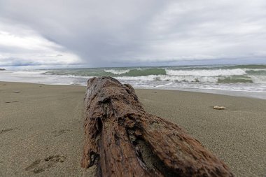 Terkedilmiş kumlu bir sahilde, bulutlu gökyüzünün altında süzülen hava, gün ışığında sakin ve doğal bir manzara yaratır.