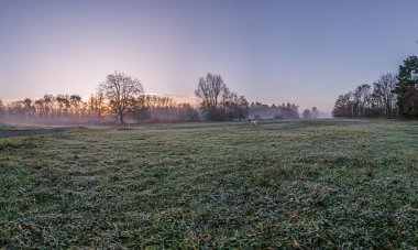 Frosty sunrise landscape with mist, trees, and open fields, capturing tranquil nature and serene vibes in winter clipart