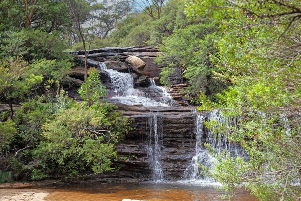 Waterfall in Blue Mountains with lush greenery and sandstone cliffs under clear blue sky during daytime