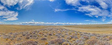 Patagonya 'daki geniş Arjantin bozkırını gündüz vakti altın ışıkla kesen bir yolun panoramik görüntüsü