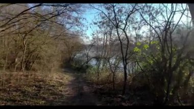Bay Felden-Walldorf 'taki donmuş Oberwaldsee' de kış güneşinin kışın yansımalarıyla yürümek