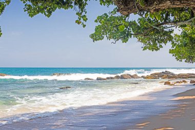 Sri Lanka 'da turkuaz denizi, palmiye ağaçları ve gün ışığında beyaz kumları olan tropik sessiz plaj.