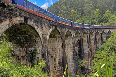 Ella, Sri Lanka yakınlarındaki yemyeşil ormanda Dokuzuncu kemer köprüsü. Gündüz vakti ortalıkta kimse yok.