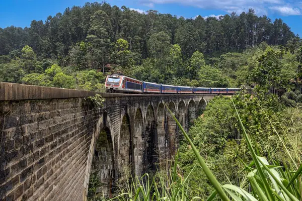 Ella, Sri Lanka yakınlarındaki yemyeşil ormanda Dokuzuncu kemer köprüsü. Gündüz vakti ortalıkta kimse yok.