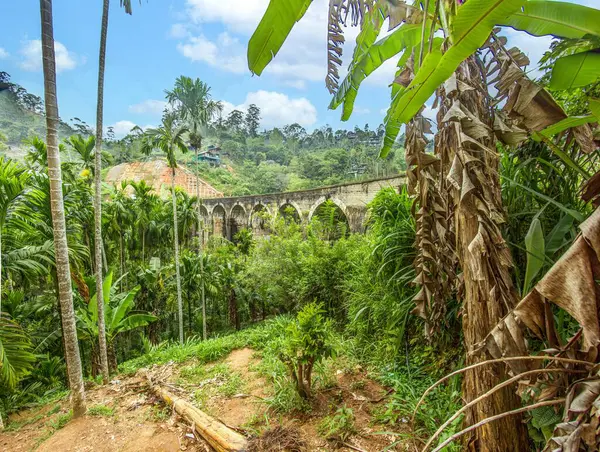 Ella, Sri Lanka yakınlarındaki yemyeşil ormanda Dokuzuncu kemer köprüsü. Gündüz vakti ortalıkta kimse yok.