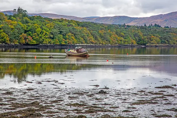 Gündüz vakti renkli orman ve dağlarla çevrili sakin körfezde yüzen balıkçı teknesi.