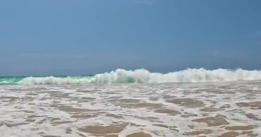 Gündüz vakti Goyambokka Sahili 'nde kayalar, palmiyeler ve turkuaz deniz bulunan tropik plaj videoları.