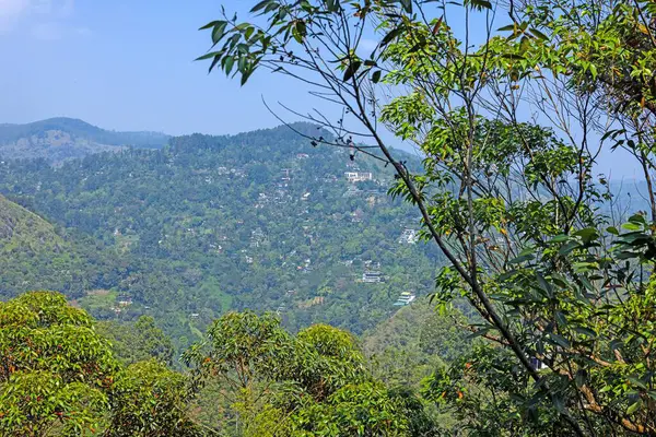 Gündüz vakti Adams Tepesi 'nden Ella' nın yemyeşil bitki örtüsü manzarası