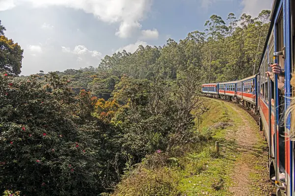 Sri Lanka 'daki Kandy' den Ella 'ya uzanan verimli dağlık bölgede renkli bir tren esiyor.