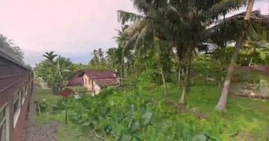 Sri Lanka 'da Bentota ve Galle arasındaki açık tren kapısından tropik kıyı manzarası
