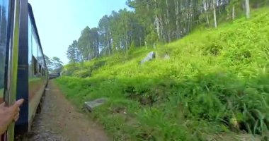 Sri Lanka 'dan geçen manzaralı trenin açık kapı manzarası Kandy ve Ella arasındaki yemyeşil tepeler.