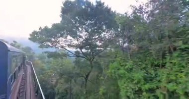 Sri Lanka 'dan geçen manzaralı trenin açık kapı manzarası Kandy ve Ella arasındaki yemyeşil tepeler.
