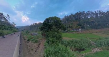 Sri Lanka 'dan geçen manzaralı trenin açık kapı manzarası Kandy ve Ella arasındaki yemyeşil tepeler.