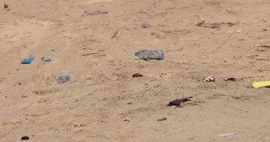 Kirli plajdaki plastik atıklar gün ışığında okyanusa açılıyor.