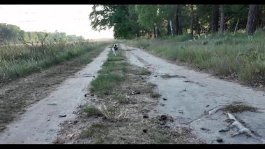 Akşamları köpek ormanda sopayla koşuyor.