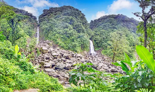 Yüksek tropikal şelale kayalardan süzülüyor, yemyeşil yağmur ormanları bitki örtüsüyle çevrili..