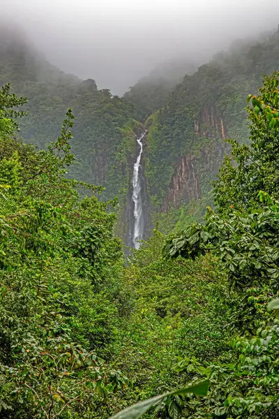 Yüksek tropikal şelale kayalardan süzülüyor, yemyeşil yağmur ormanları bitki örtüsüyle çevrili..