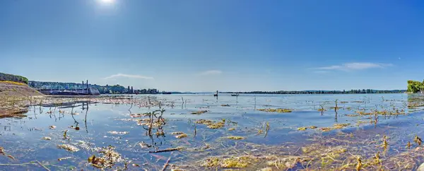 Ermatingen 'deki Untersee sahilinde bitki ve kuşlarla yer manzarası