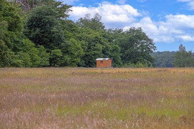 Çimenli bir yaz otlağıyla çevrili bir ormanın kenarında tek başına duran ahşap bir kulübe.