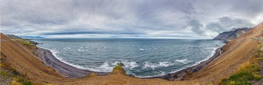 Dik kayalıklar İzlanda 'da bulutlu gökyüzü altında kara plaj ve okyanusla buluşuyor.