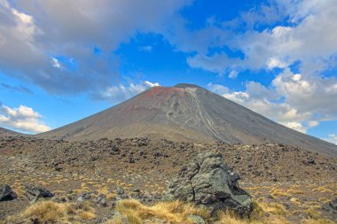 Tongariro Ulusal Parkı 'ndaki Ngauruhoe Dağı yakınlarında volkanik kayalar ve kuru bitkiler.