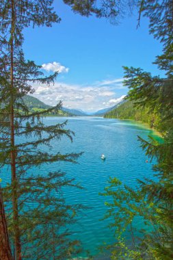 Carinthia 'da Weissensee' nin kıyı şeridi dağ zeminli ve uzun yeşil kamışlı