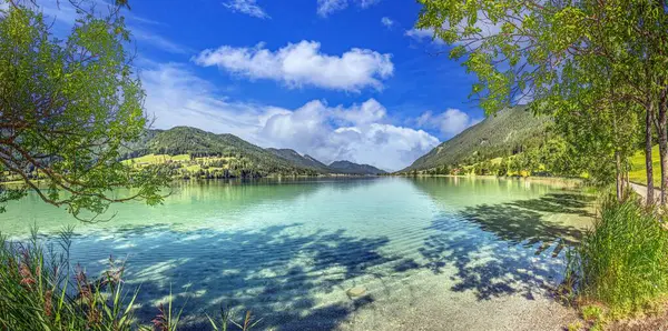 Carinthia 'da Weissensee' nin kıyı şeridi dağ zeminli ve uzun yeşil kamışlı