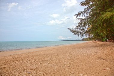 Güney Tayland 'da Khao Lak' ta ağaç gölgesi ve sakin dalgaları olan sakin tropikal bir sahil.