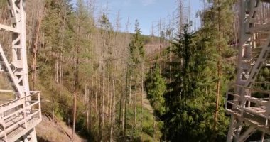 Drone flight along the Ziemestal Bridge in Thuringia during the day in summer