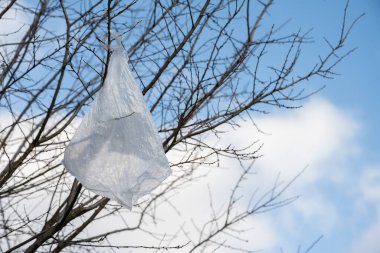 Ağaçların dalına dolanmış plastik bir ağ.