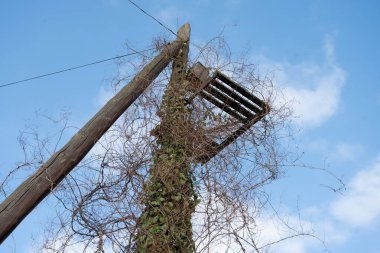 Mavi gökyüzüne karşı eski ahşap telefon direği.